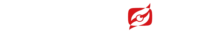 LSVISIGN1 logo