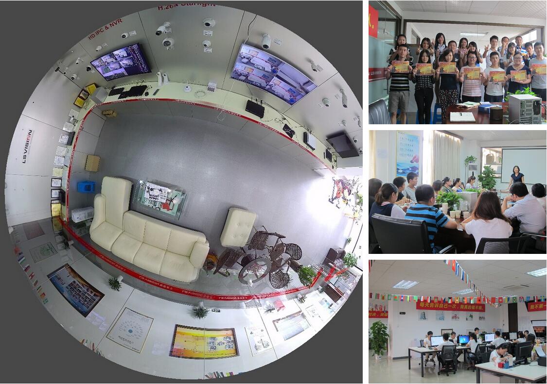 ls vision team
