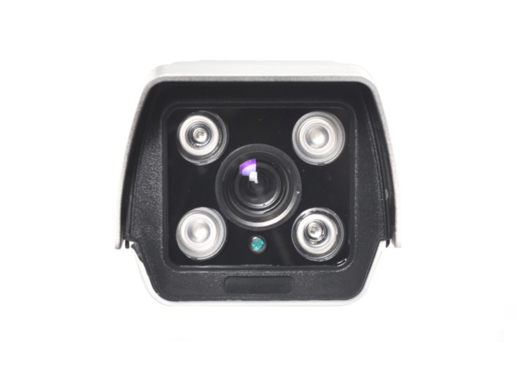 Starlight Surveillance Cameras