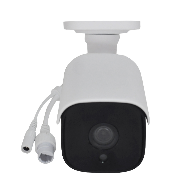 Fully Utilize smart wireless ip camera To Enhance Your Business | LS VISION