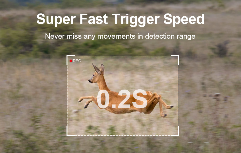 0.2s catch of wildlife trail camera