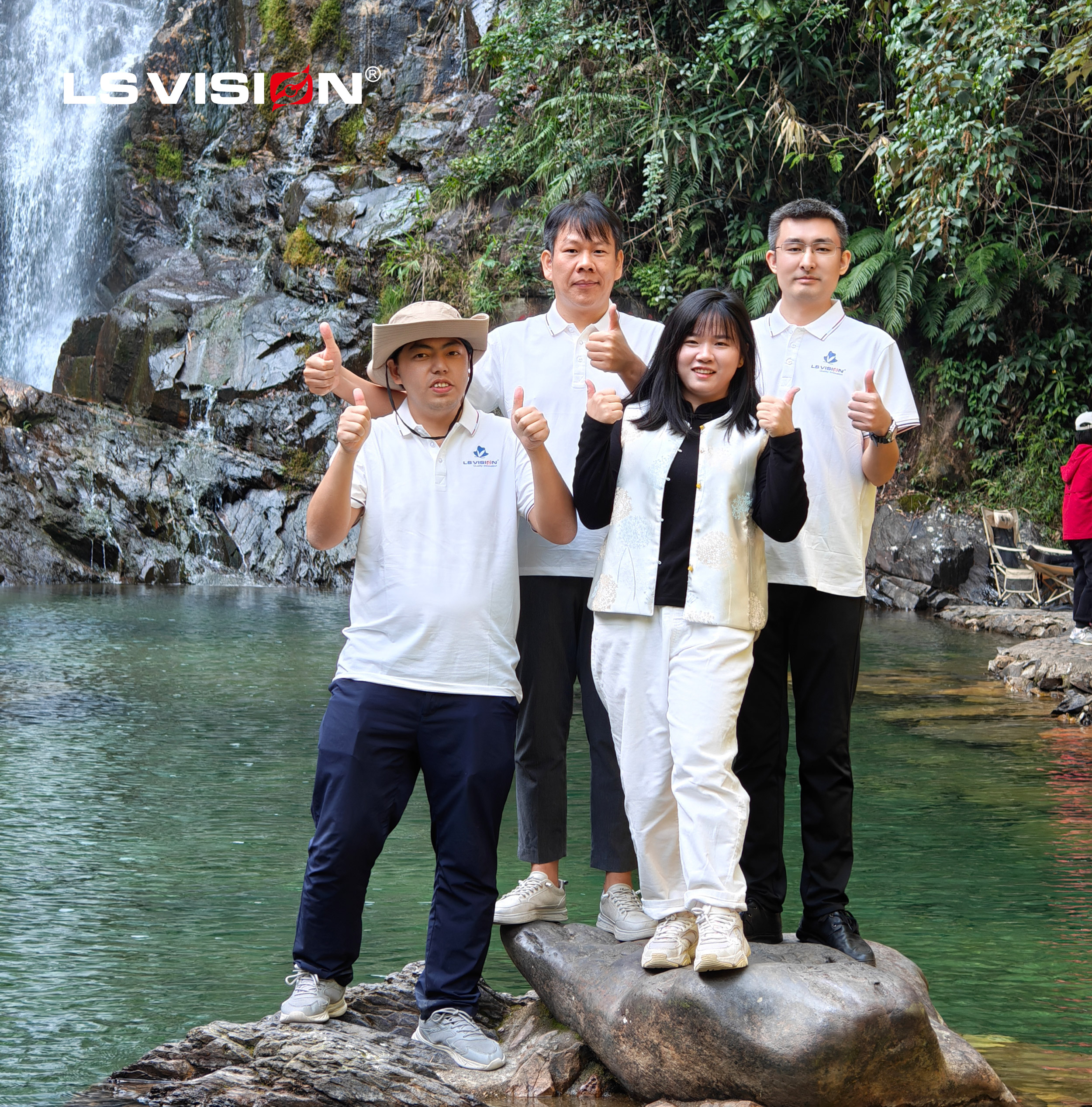 LS VISION technical support team