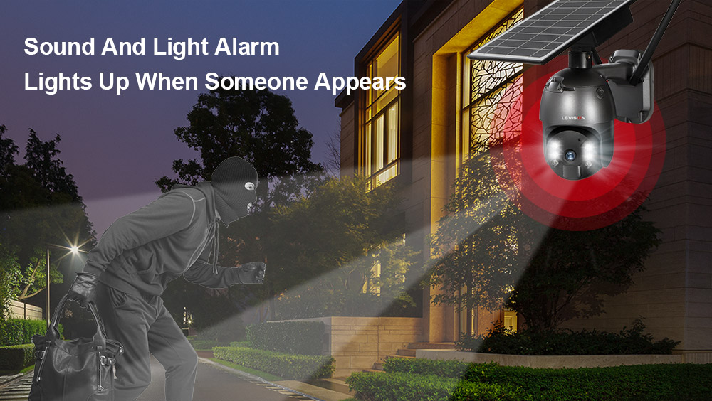 LS VISION Intrusion monitoring