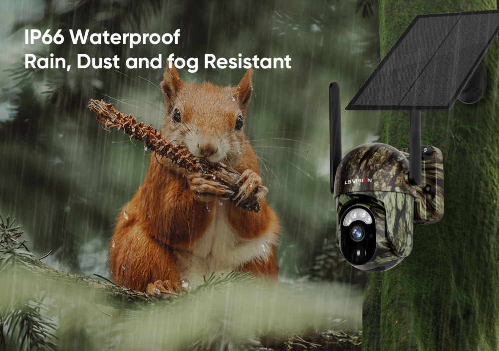 trail solar camera