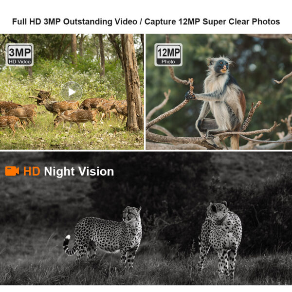 HD Night Vision