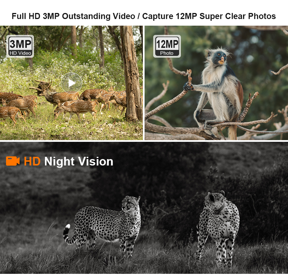 LS VISION HD Night Vision 