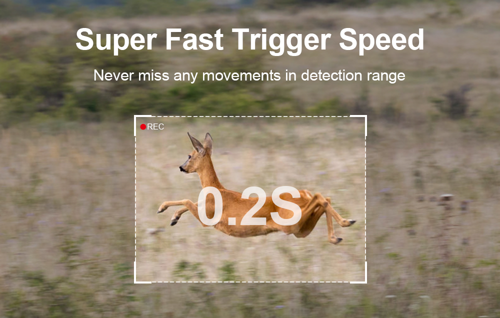 LS VISION Super Fast Trigger Speed 