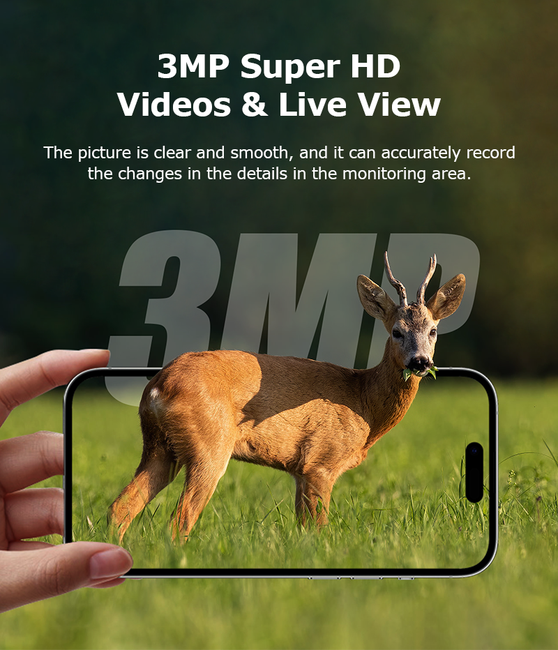 Ls Vision 3mp Super Hd Videos Live View Camera