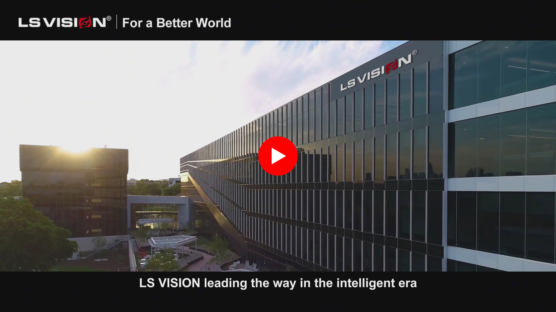 Ls Vision