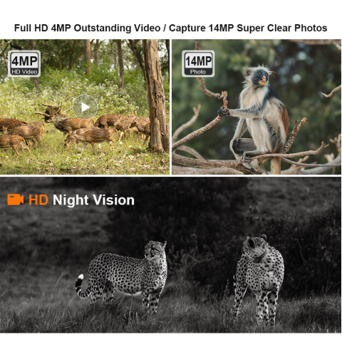 Lsvision Pir Hunting Camera