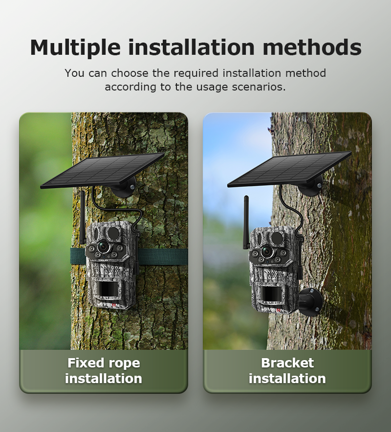 Multiple Mounted Hunting Cameras