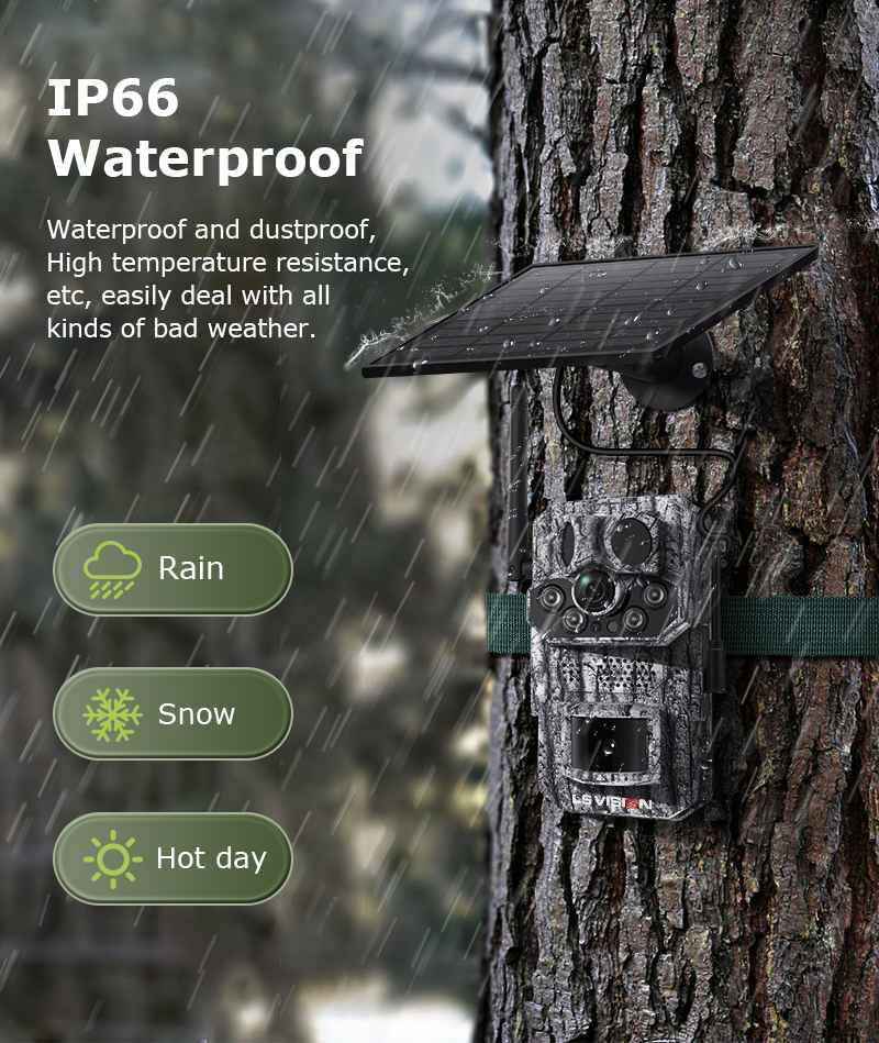 Nature Camera