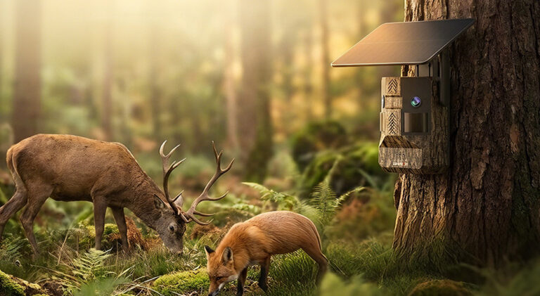Hunting camera