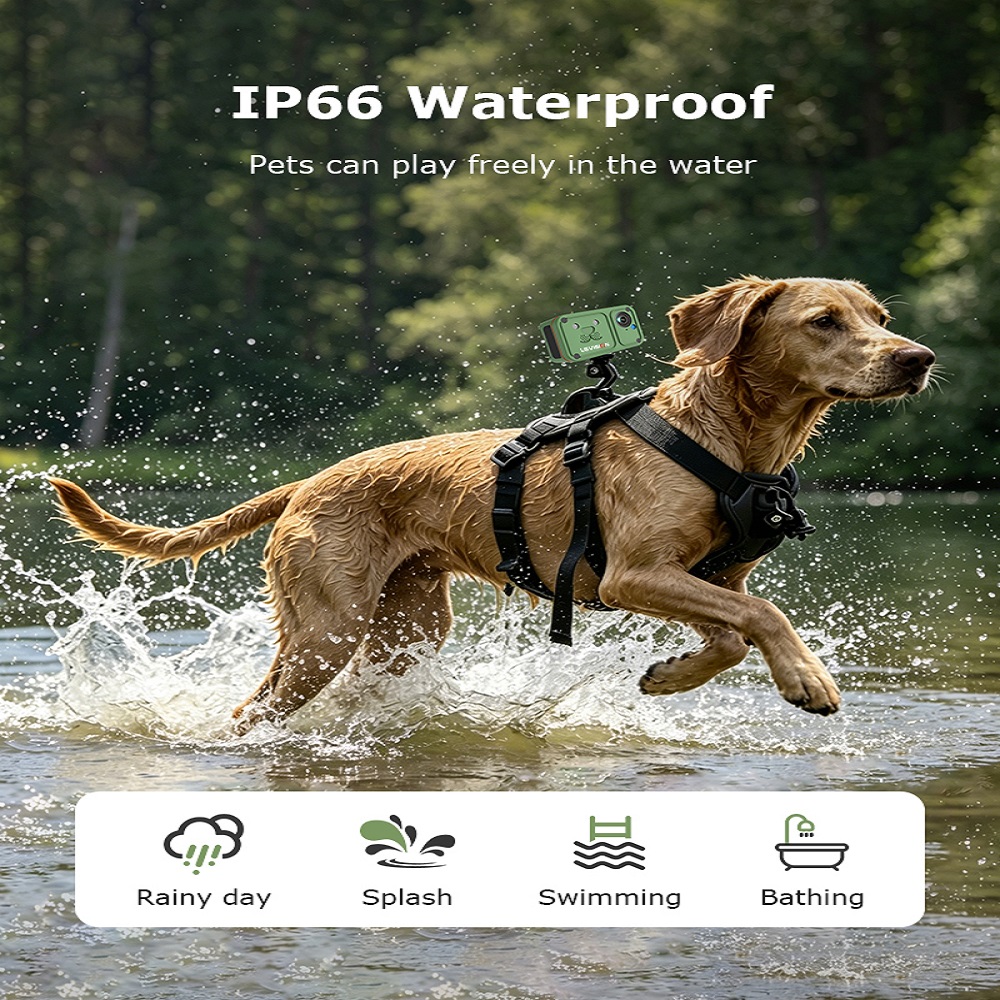 Ip66