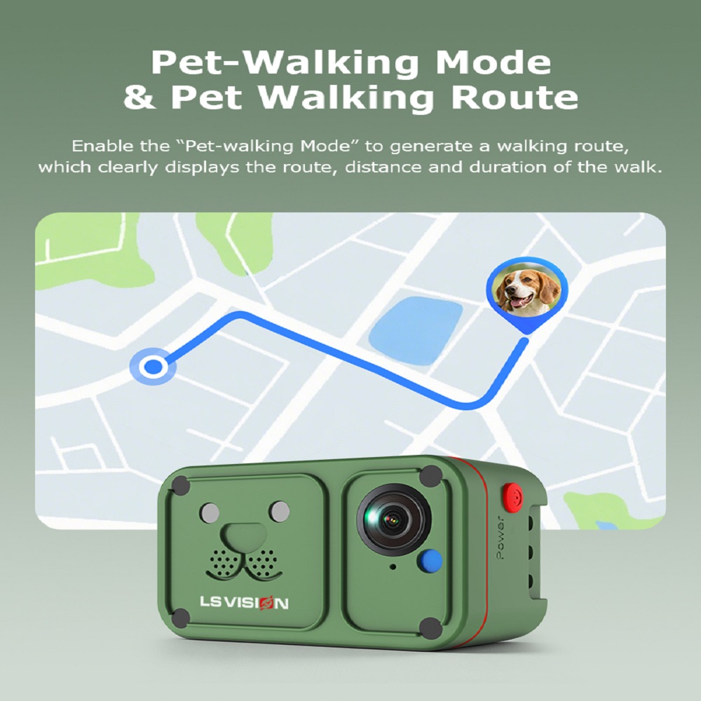 Pet Walking